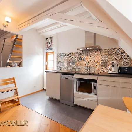 Au Bonheur Des Anges Duplex Apartment Colmar
