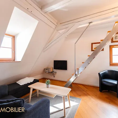 Apartment Au Bonheur Des Anges Duplex Colmar