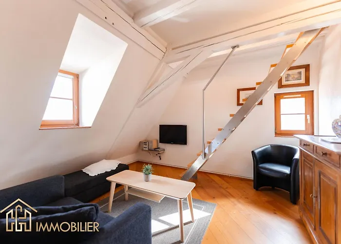 Apartamento Au Bonheur Des Anges Duplex Colmar